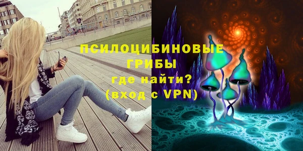гидра Балахна