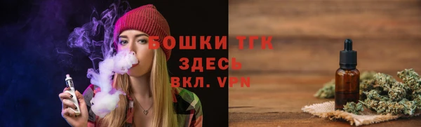 гидра Балахна