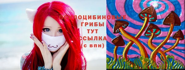 гидра Балахна