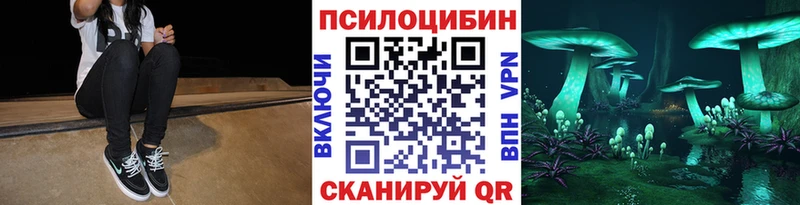 закладки  Вуктыл  Галлюциногенные грибы прущие грибы 